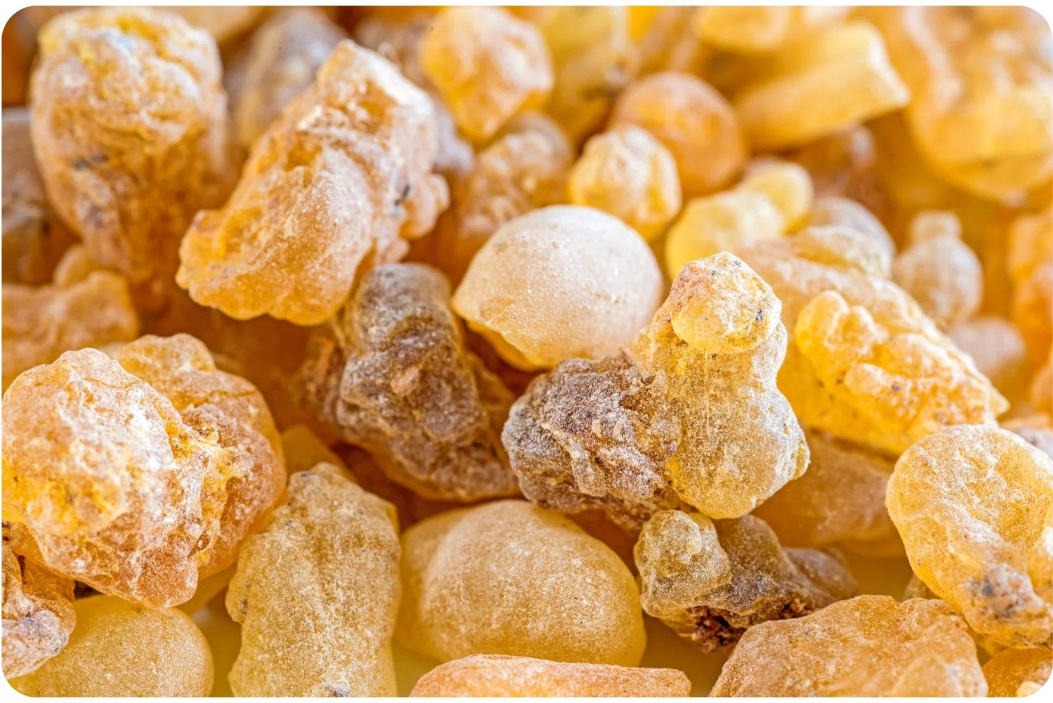 Boswellia Serrata Extract